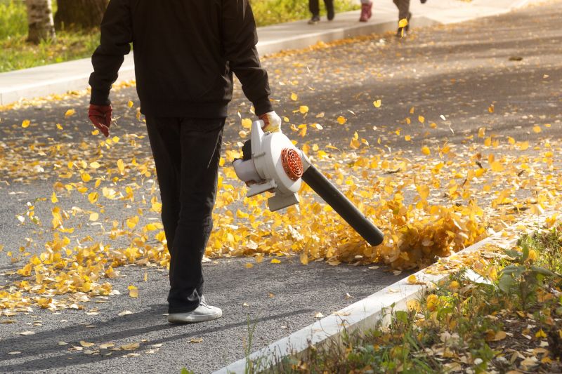 Leaf Blowing Process