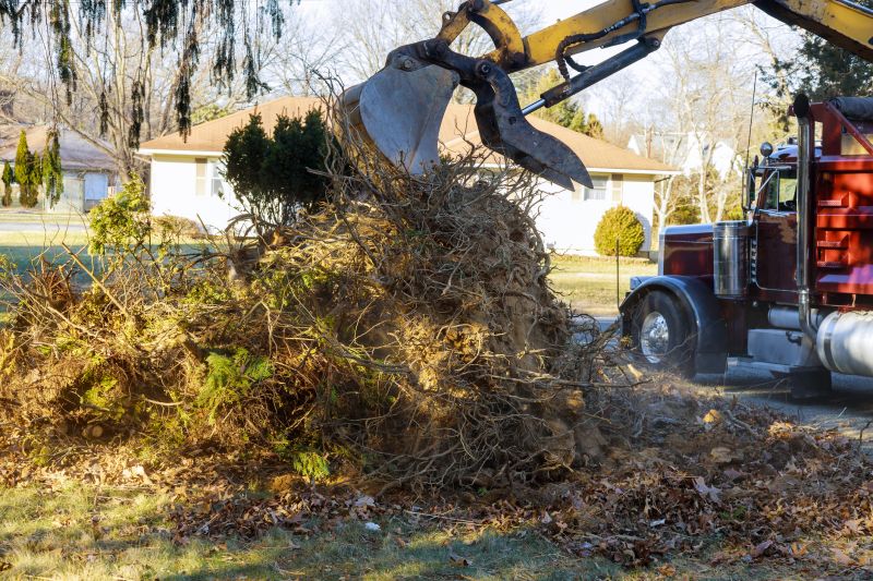 Heavy Equipment Clearing Debris