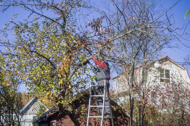 Residential Tree Service